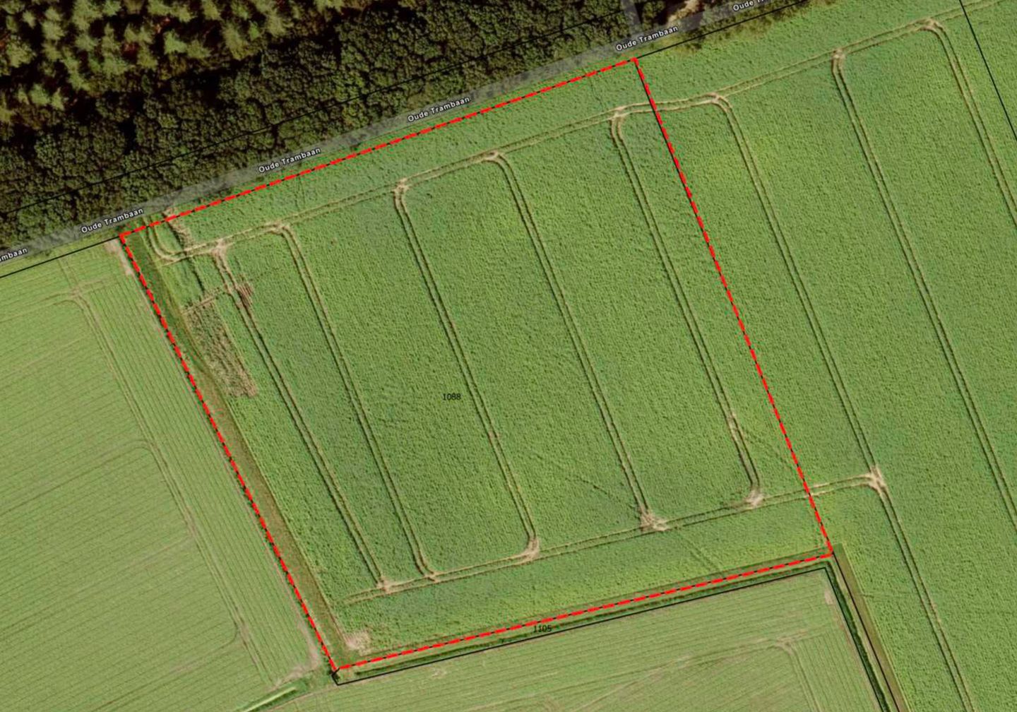 Bekijk foto 3 van Oude Trambaan