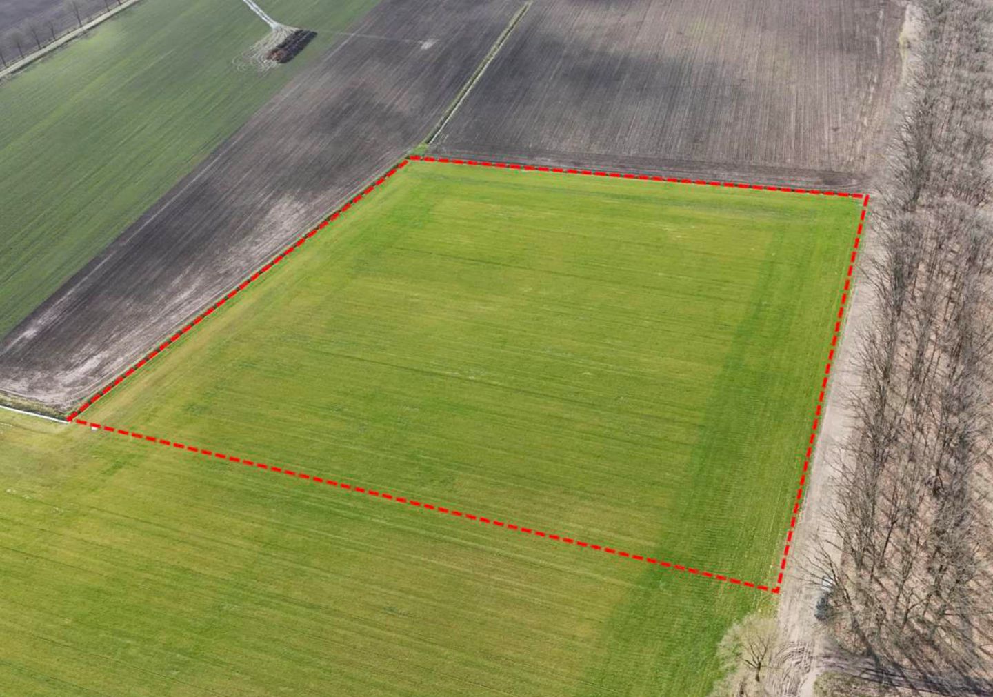 Bekijk foto 5 van Oude Trambaan