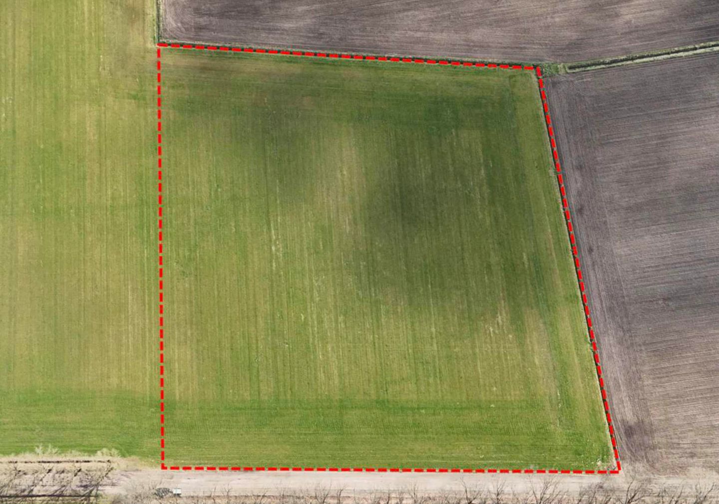 Bekijk foto 4 van Oude Trambaan