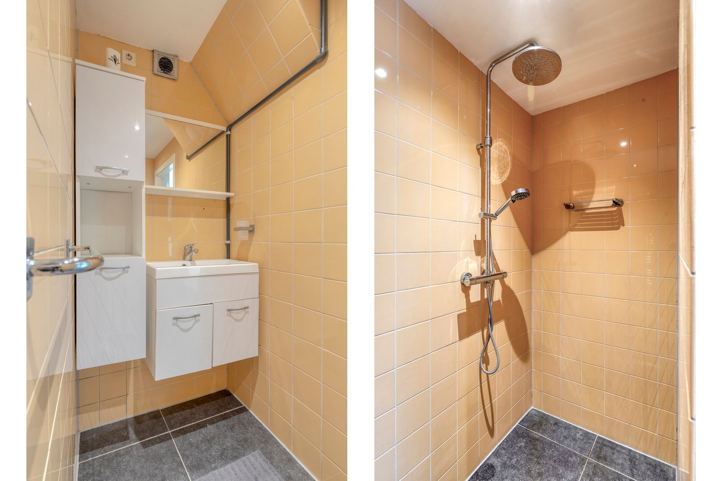 Foto 5 van Pastoriedijk 490