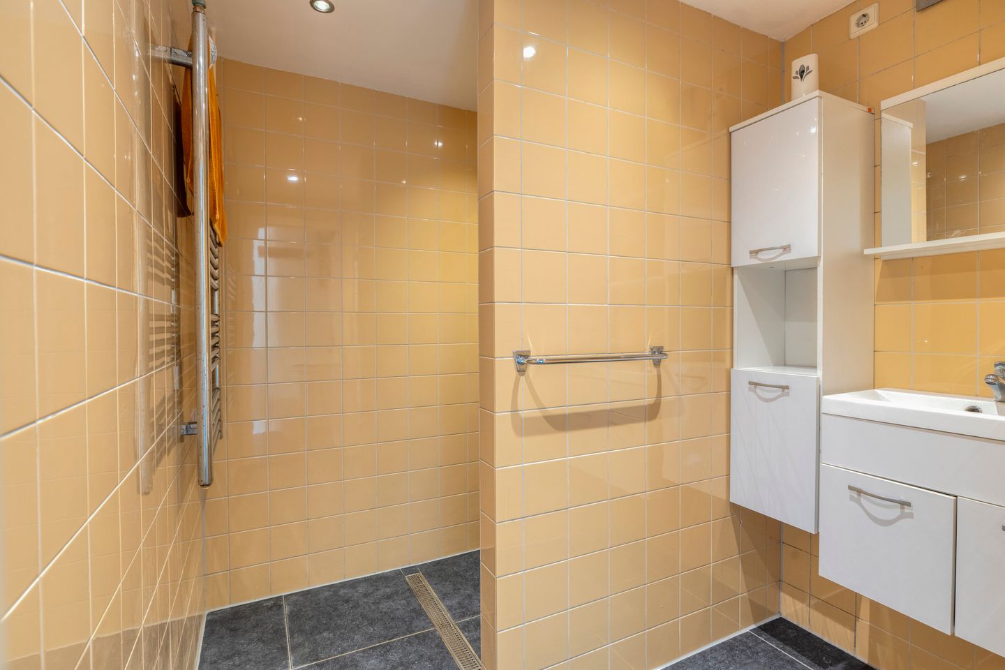 Foto 20 van Pastoriedijk 490