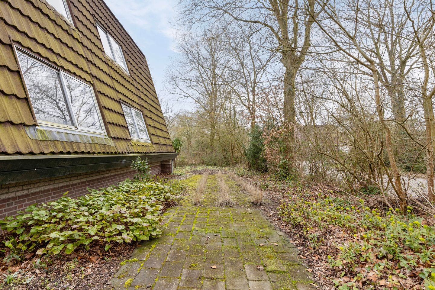 Foto 10 van Magnolialaan 29