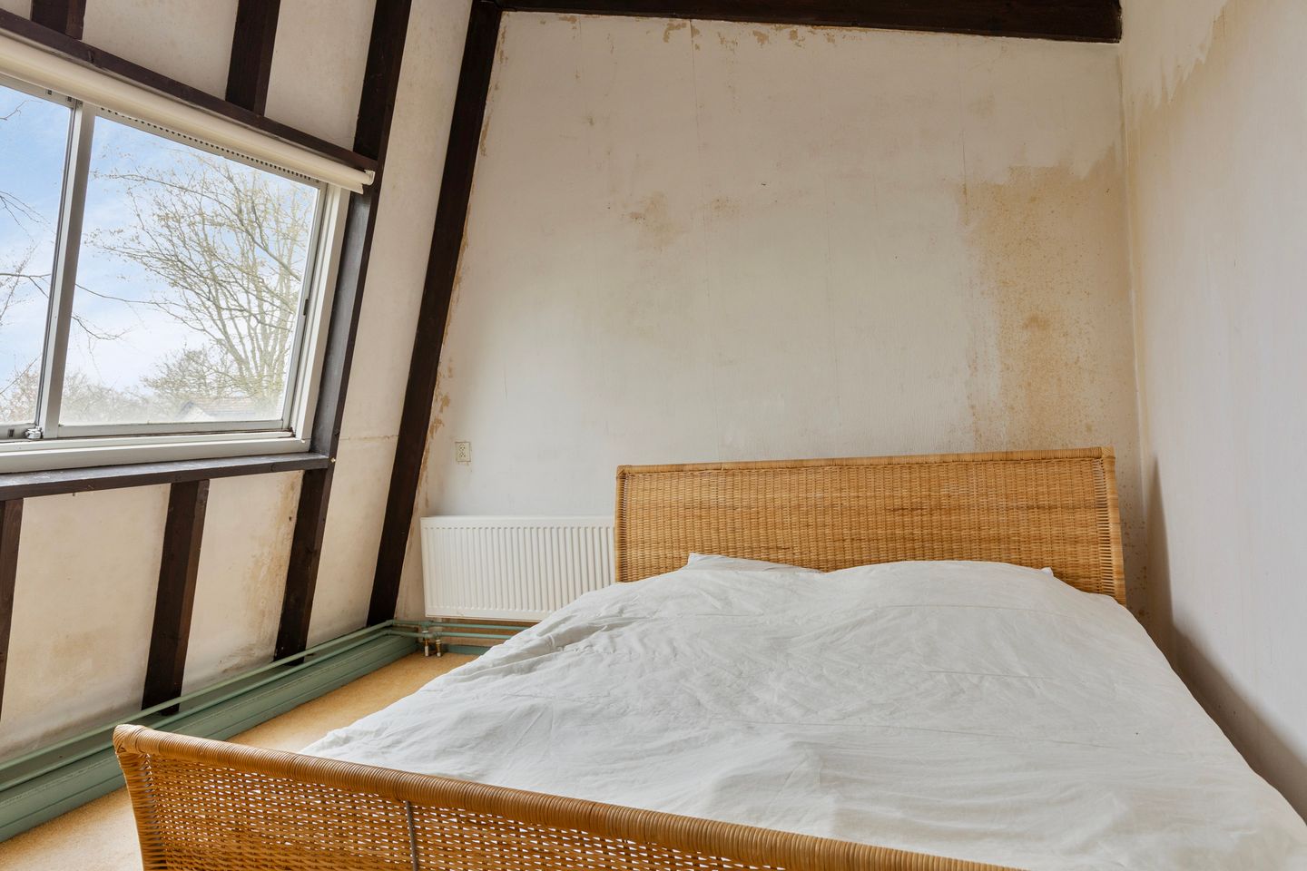 Foto 34 van Magnolialaan 29