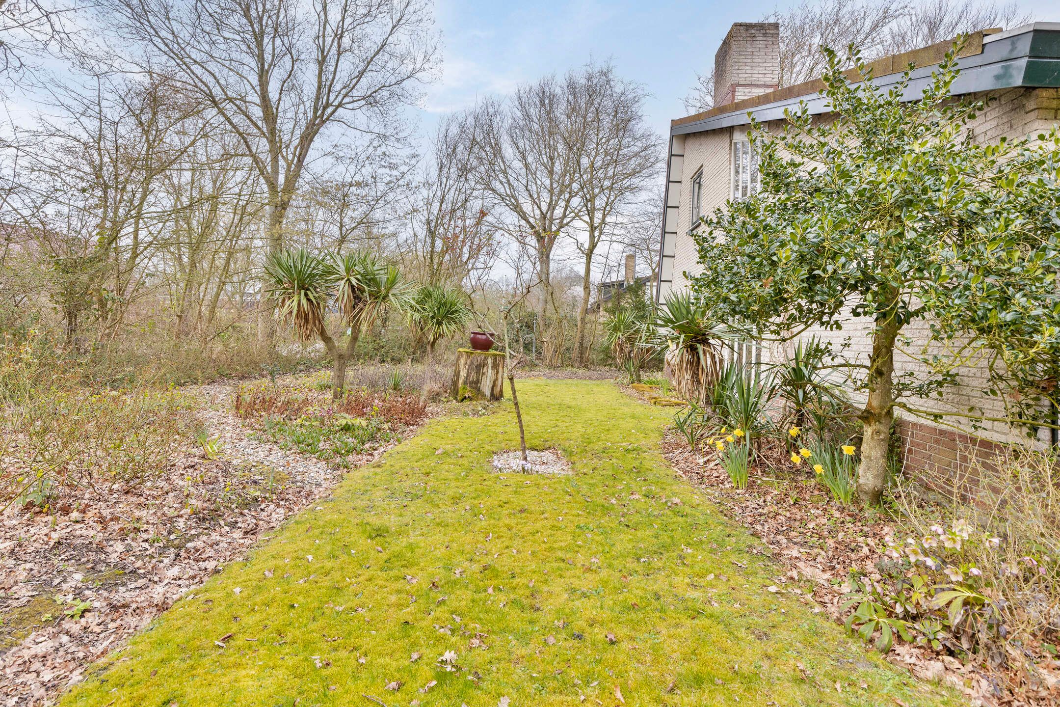 Foto 54 van Magnolialaan 29