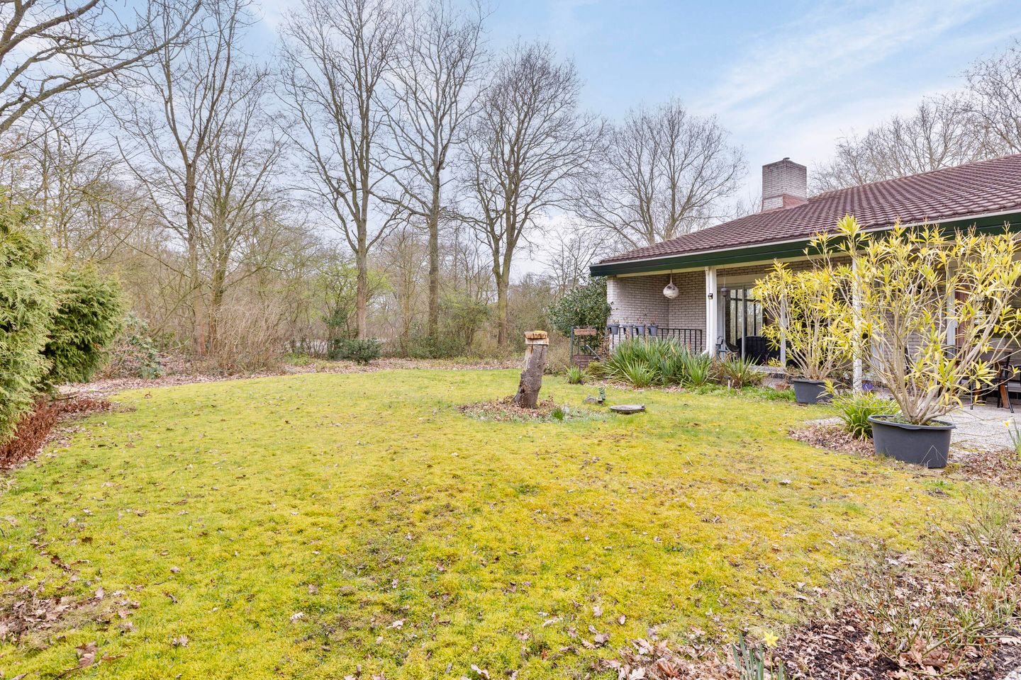 Foto 50 van Magnolialaan 29