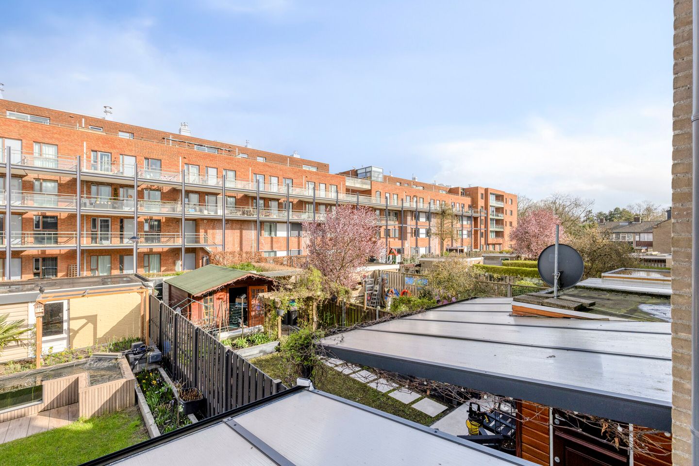 Foto 55 van Madeliefstraat 24