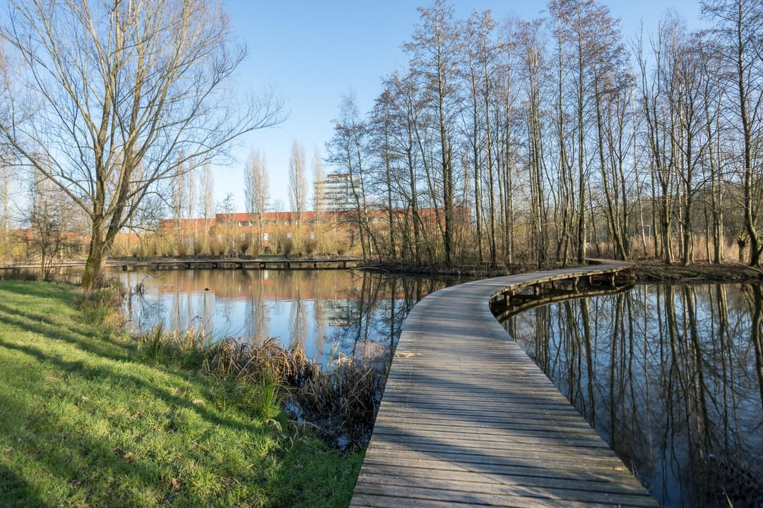 Foto 88 van Castellumlaan 22