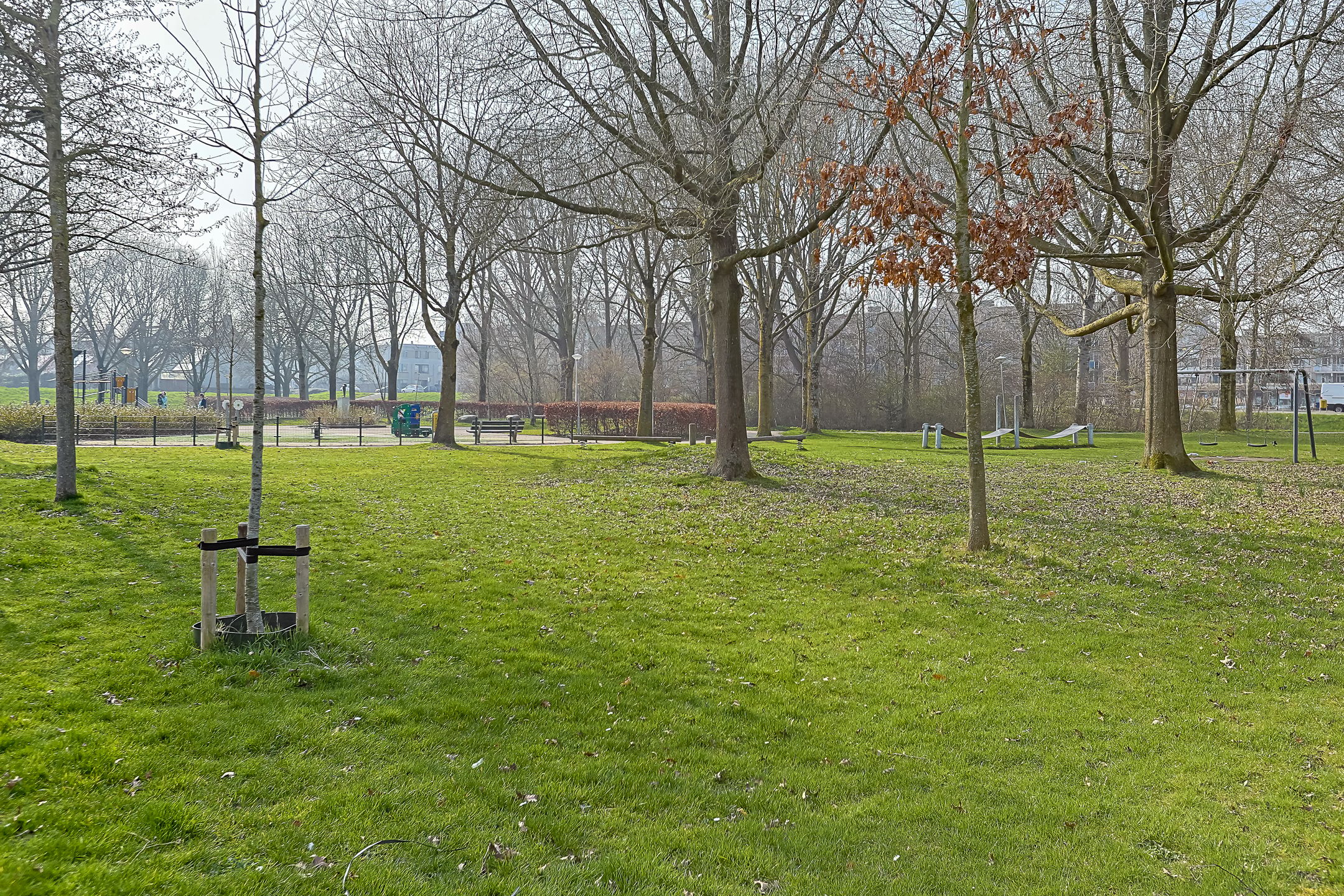 Photo 33 of Schelfhorst 9