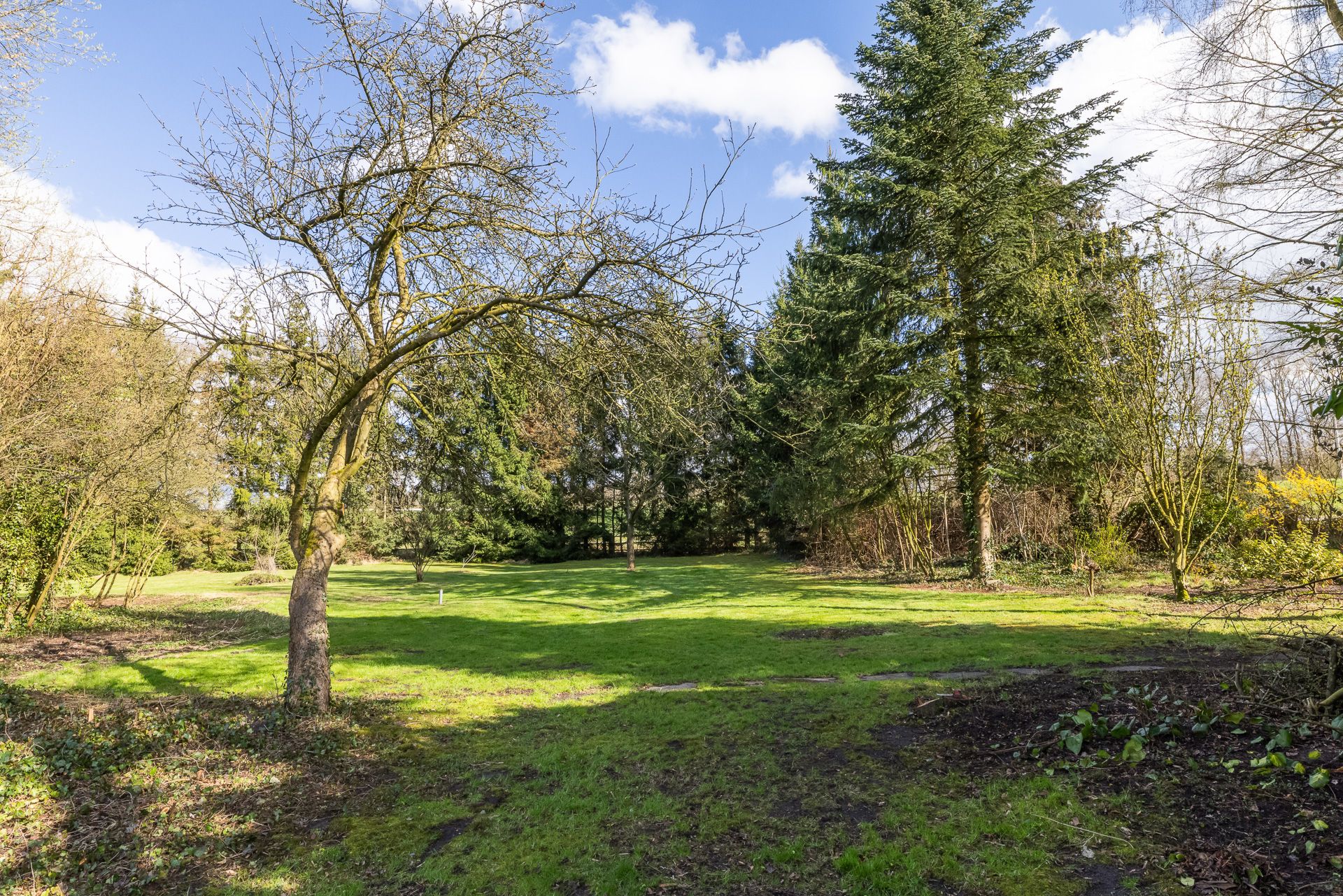 Foto 45 van Hengelosestraat 204