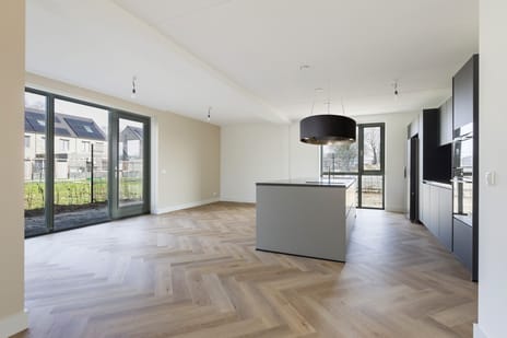 Teunisbloem 13 tertiary image