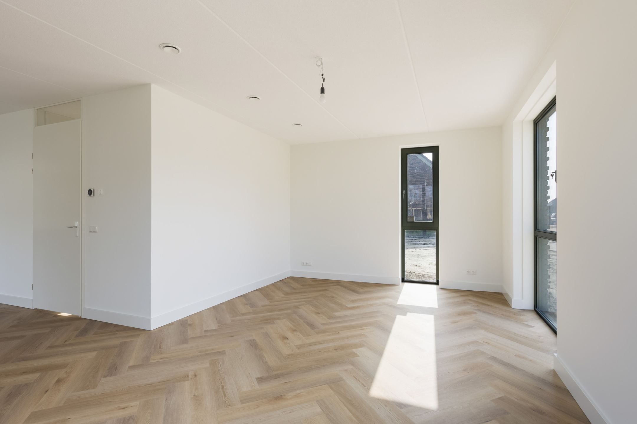 Photo 9 of Teunisbloem 13