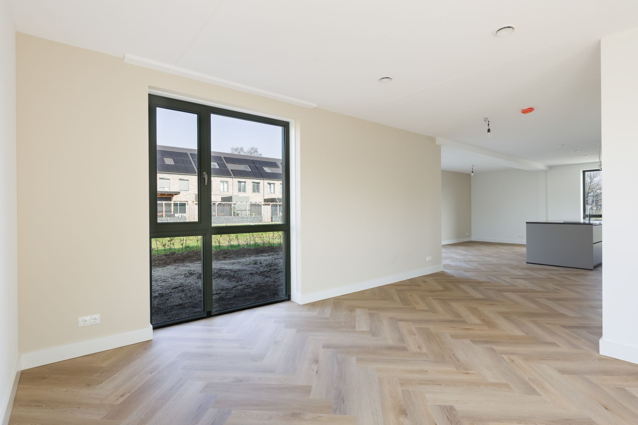 Photo 12 of Teunisbloem 13