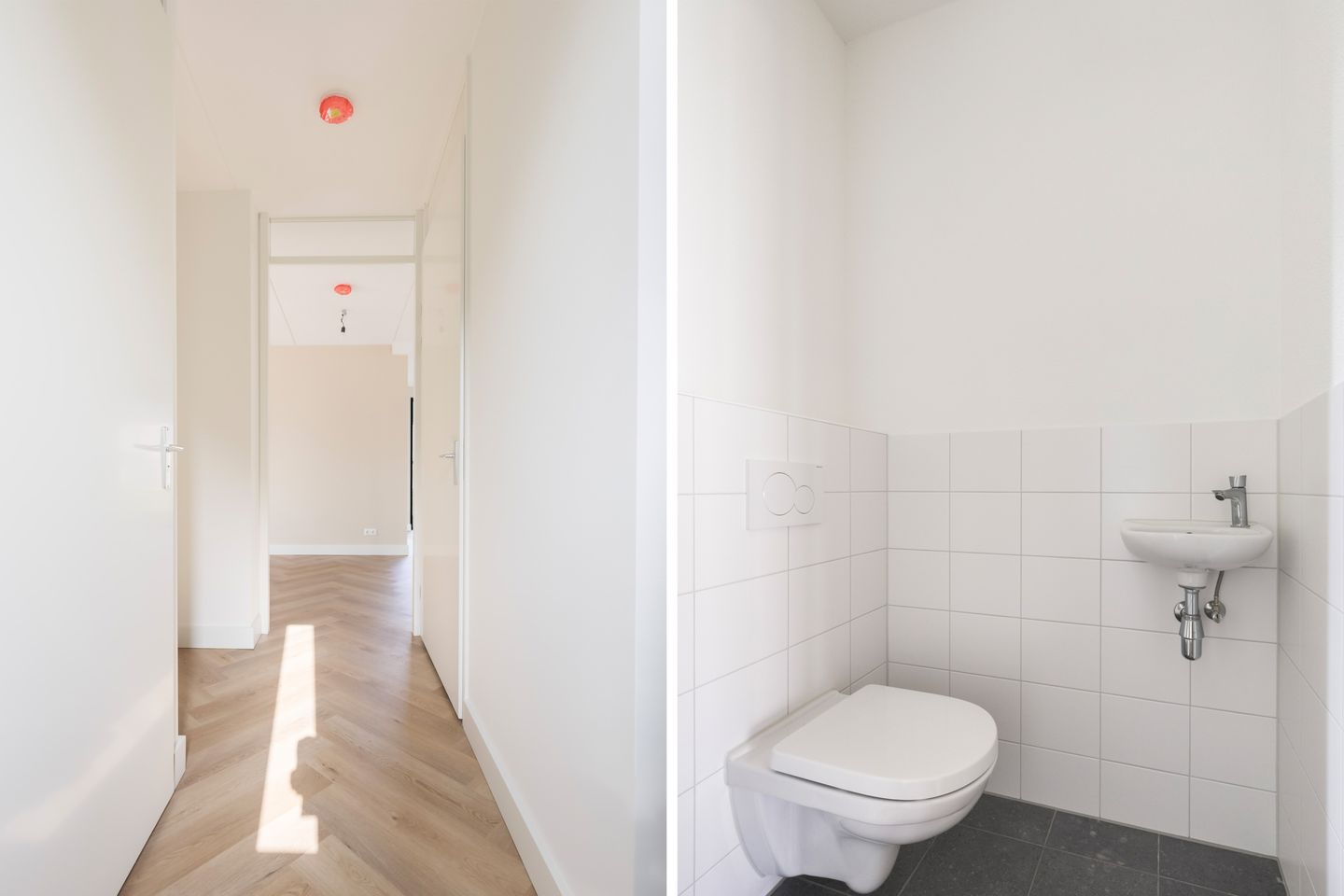 Photo 14 of Teunisbloem 13