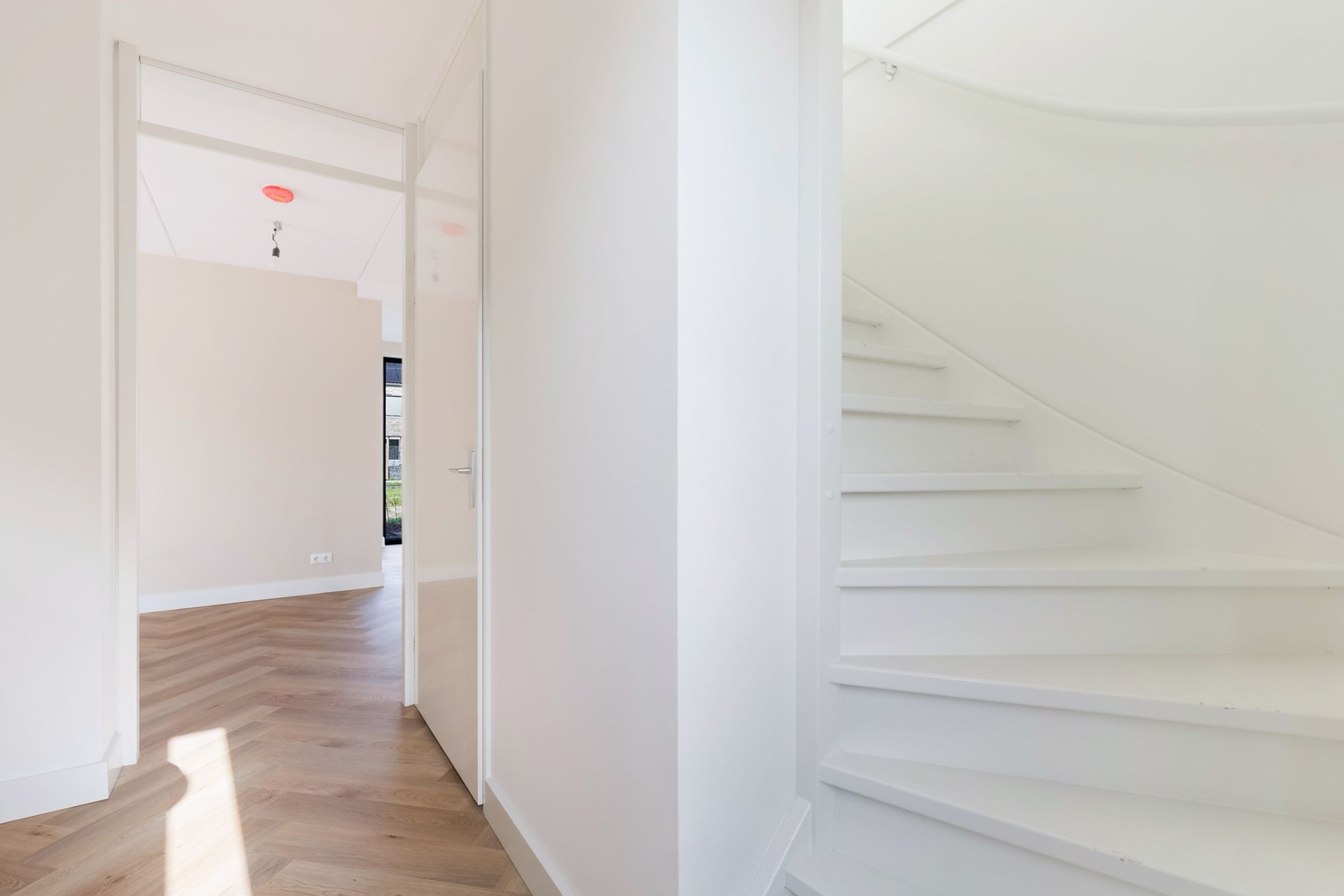 Photo 15 of Teunisbloem 13