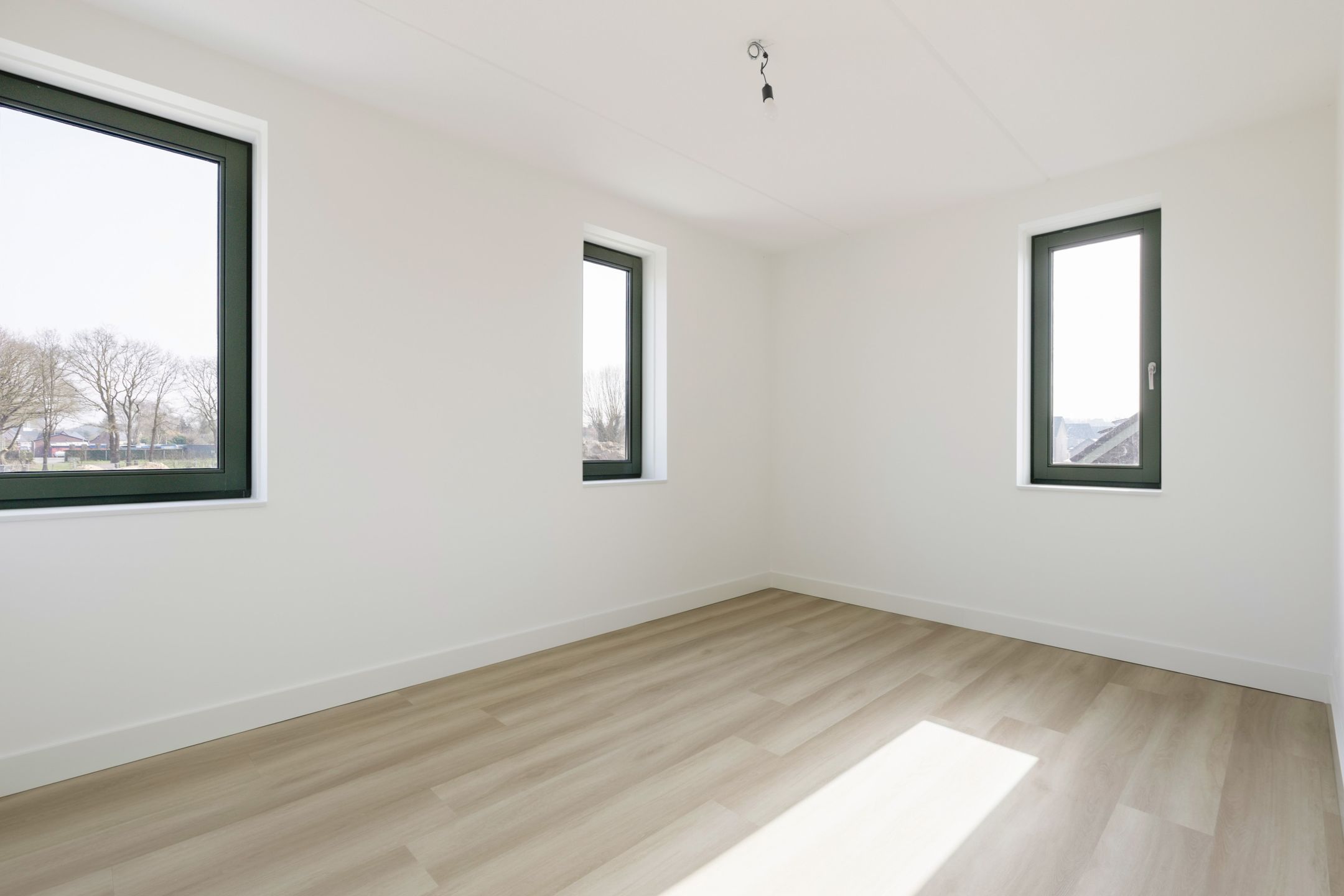 Photo 24 of Teunisbloem 13