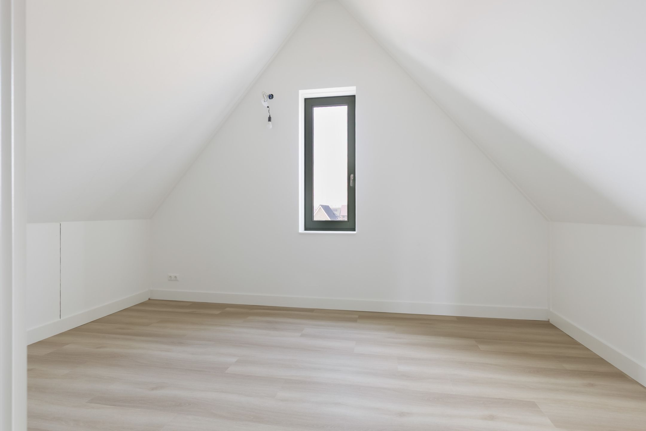 Photo 27 of Teunisbloem 13