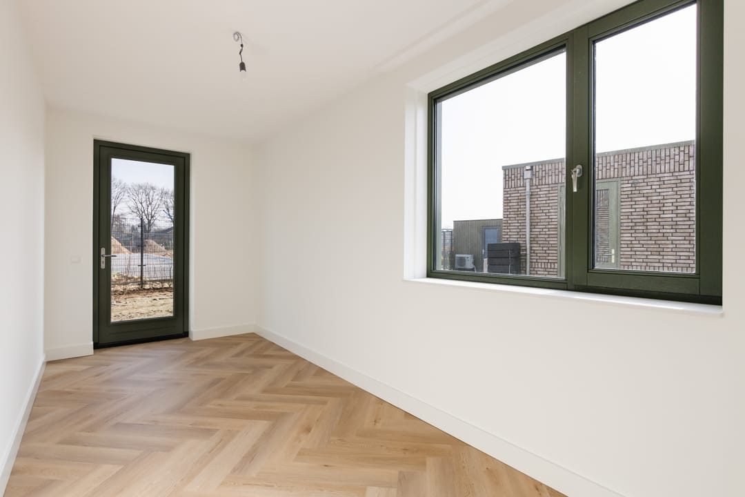 Photo 13 of Teunisbloem 13