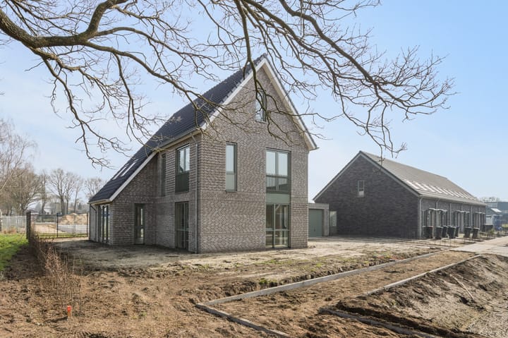 Teunisbloem 13 main image