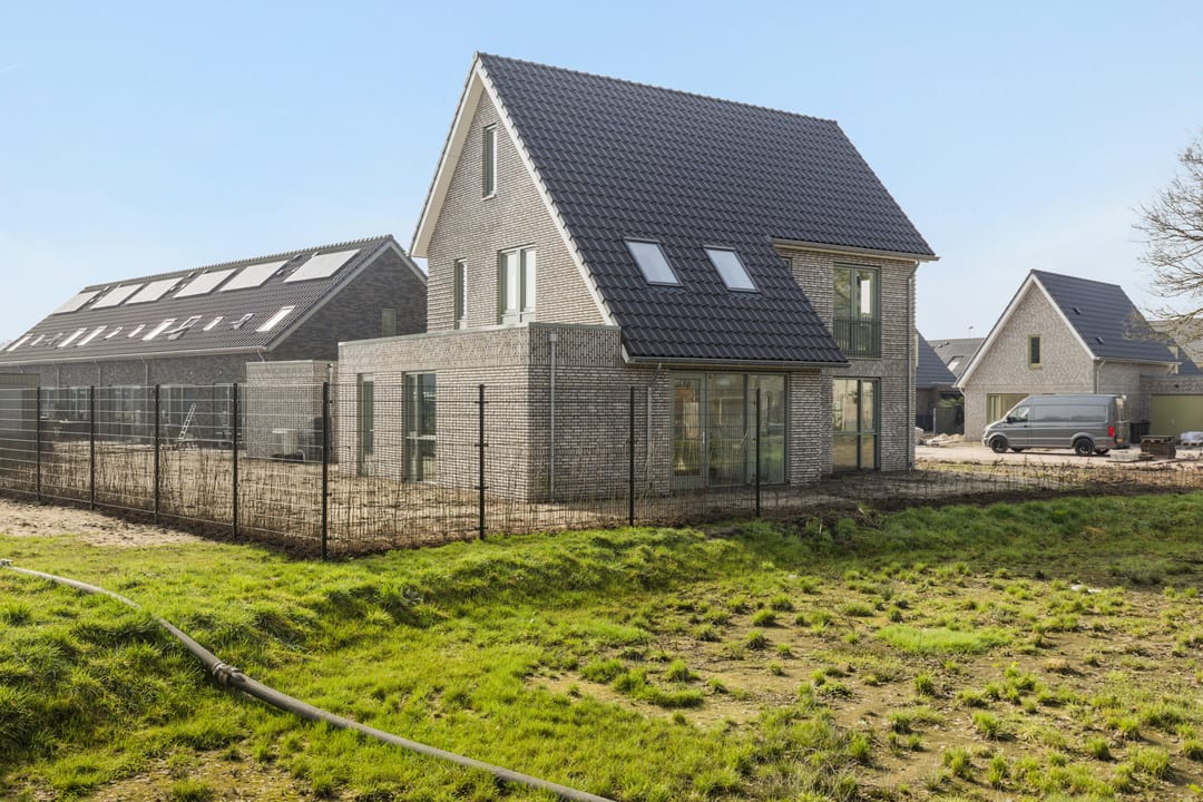 Photo 37 of Teunisbloem 13