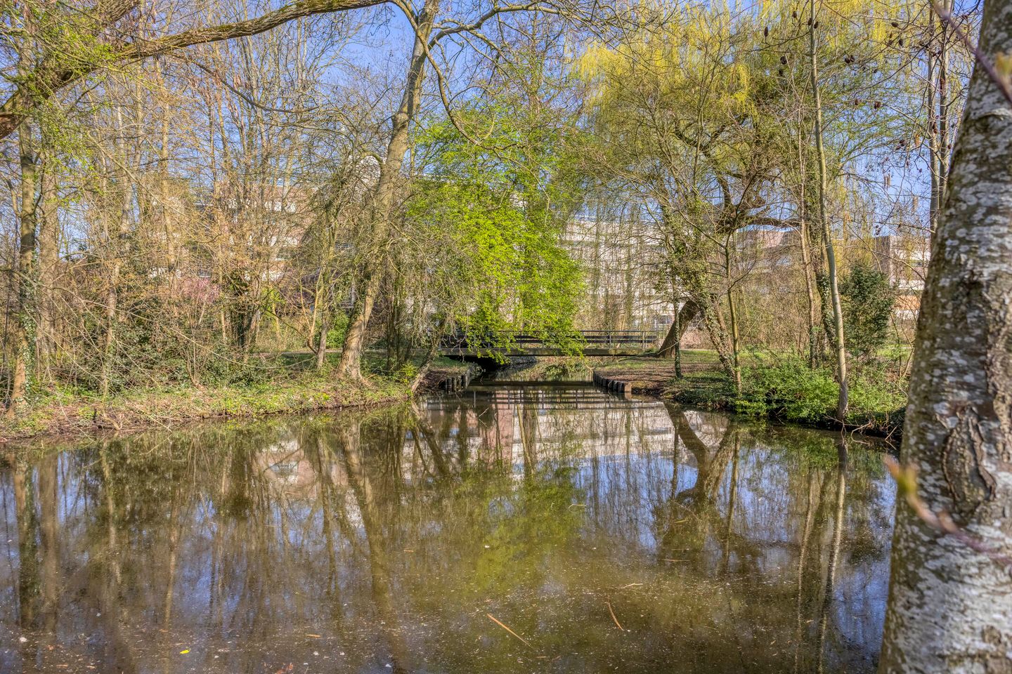 Foto 25 van Rivierenlaan 179