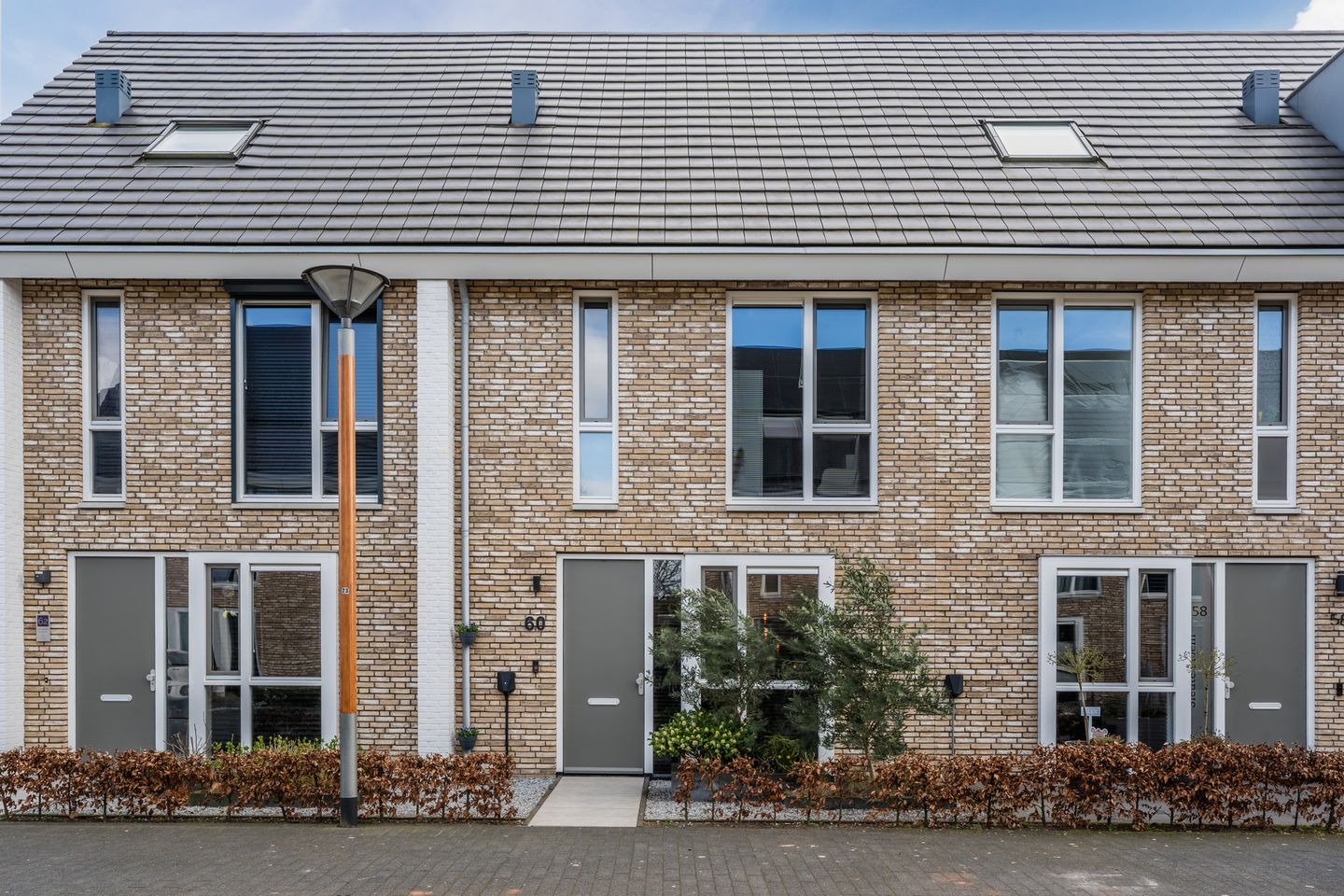 Foto 1 van Sleutelbloem 60