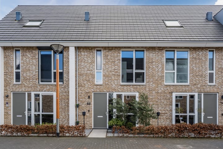 Sleutelbloem 60 main image