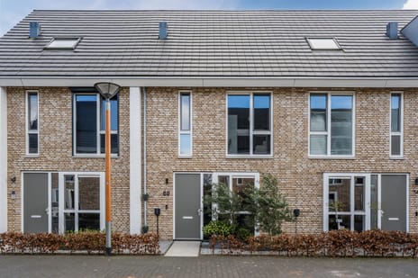 Sleutelbloem thumbnail