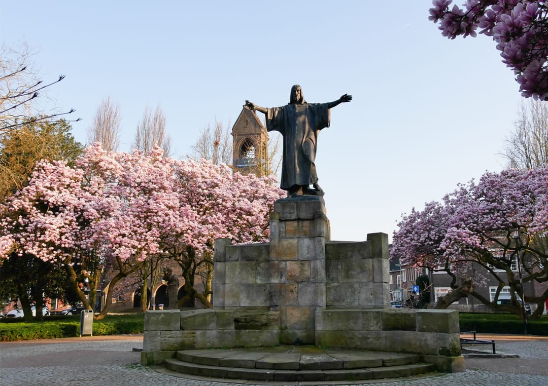 Foto 2 van Ds. Jongeneelstraat 5