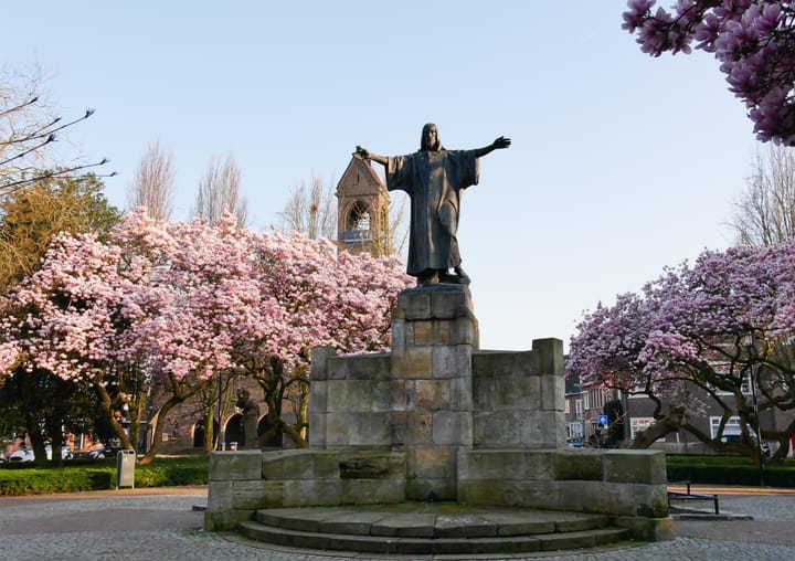 Foto 2 van Ds. Jongeneelstraat 5