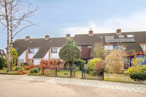 Rogakker 8 secondary image