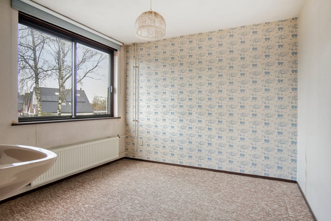Photo 23 of Rogakker 8