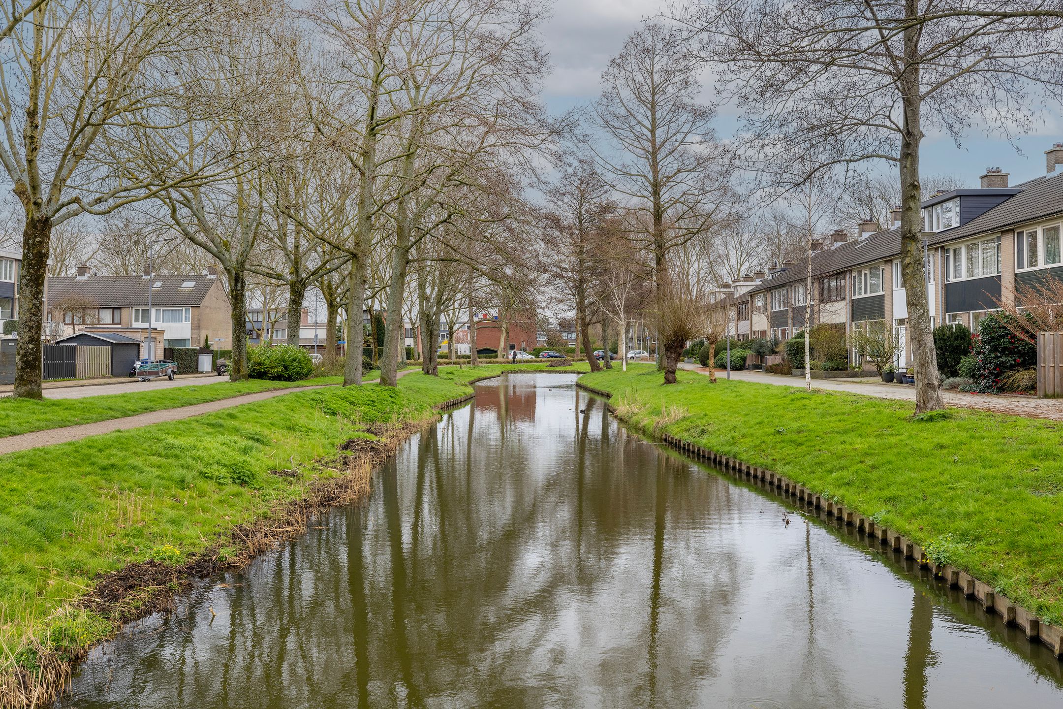 Foto 48 van Wasbloem 14