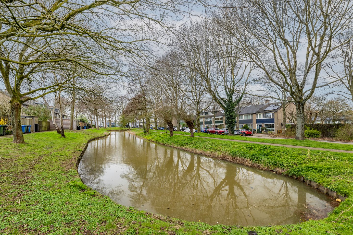 Foto 49 van Wasbloem 14