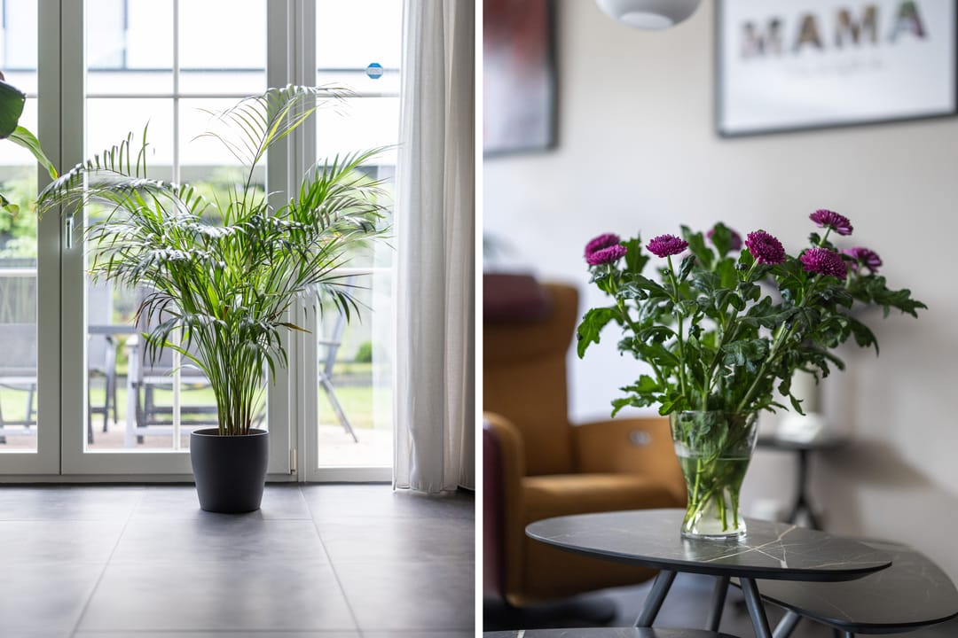 Foto 23 van Laan van Braets 12