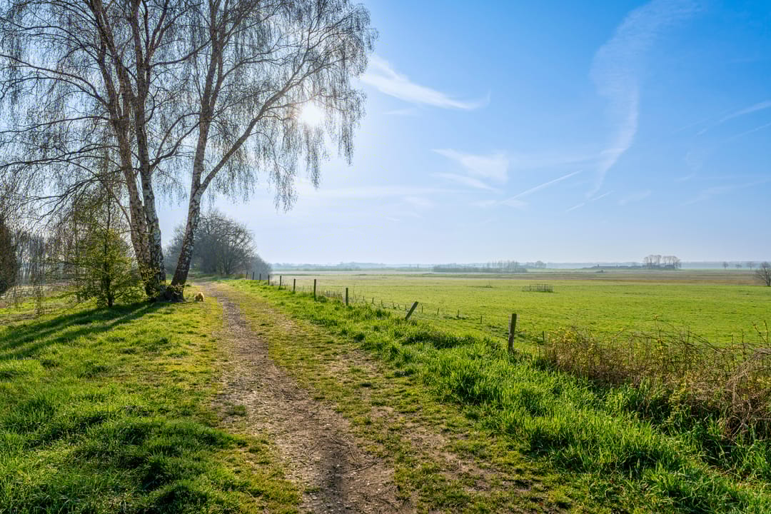 Foto 32 van Vlaemsche Hoeve 198