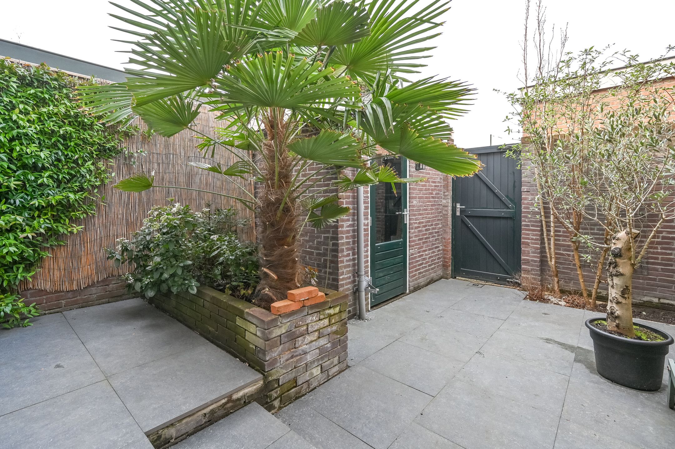 Foto 21 van Velserduinweg 205