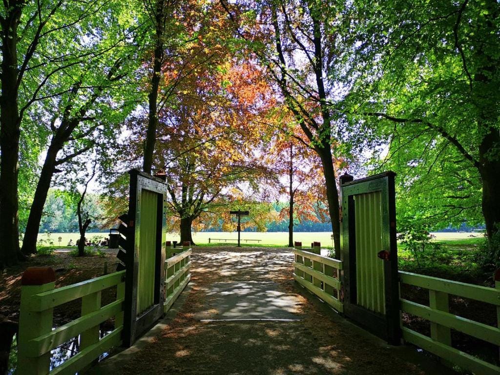 Foto 61 van Randwijcklaan 39