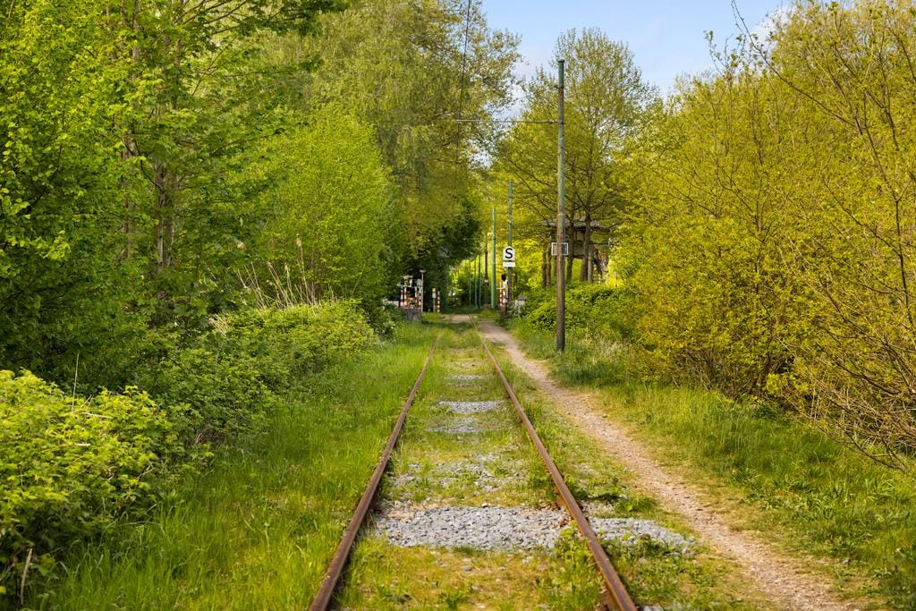 Foto 65 van Randwijcklaan 39