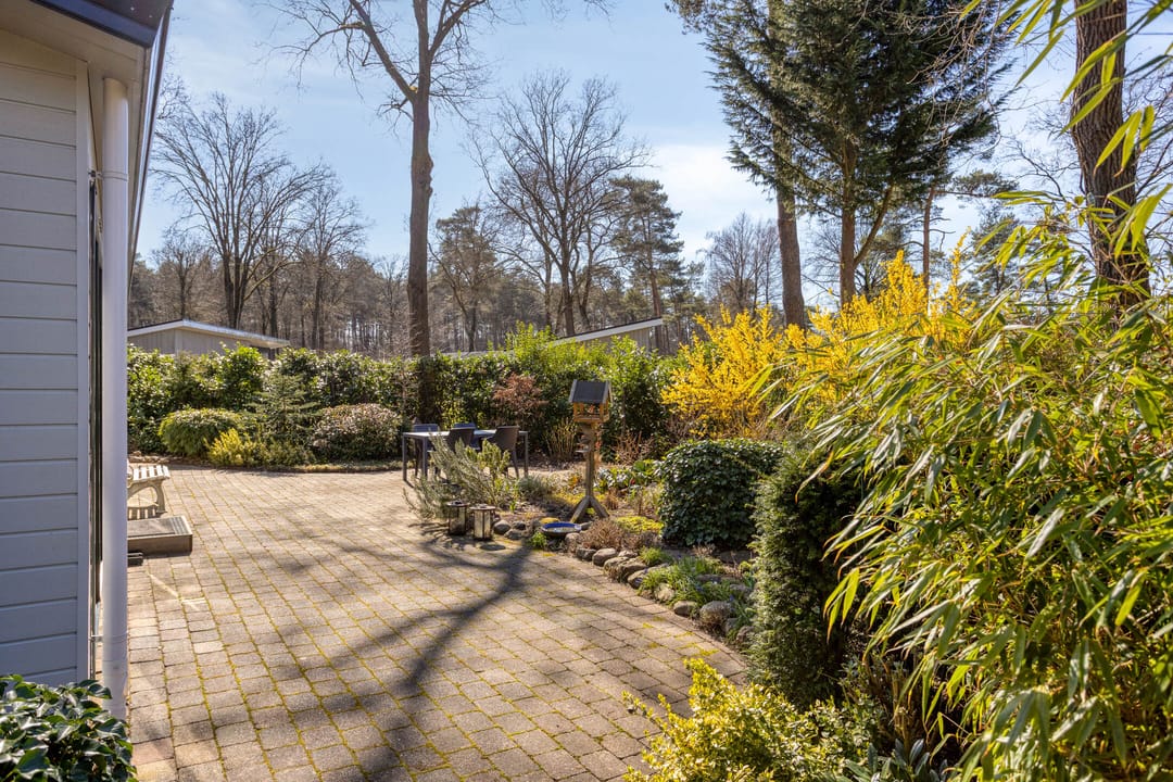 Foto 2 van Potdijk 8-D24