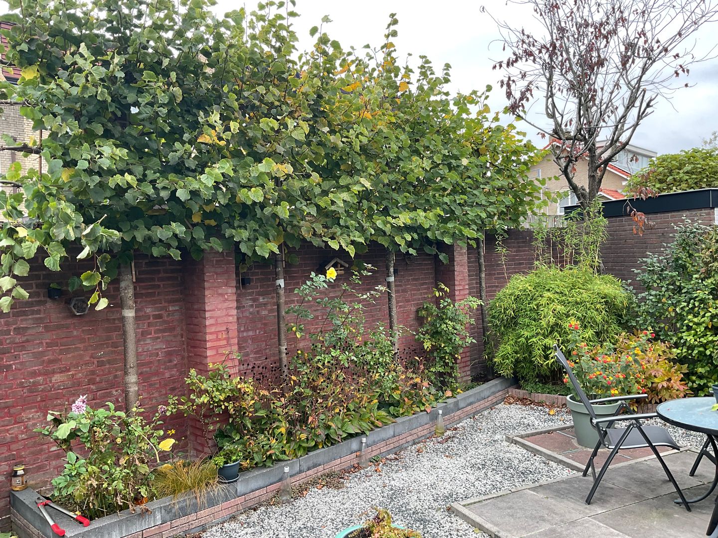 Photo 20 of Ds van den Boschlaan 118