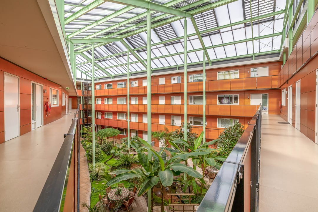 Foto 2 van Drooghe Bol 2038