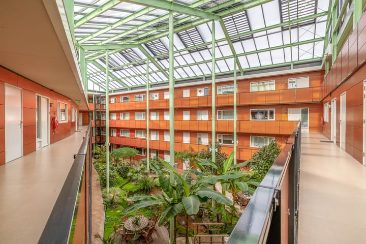 Photo 2 of Drooghe Bol 2038