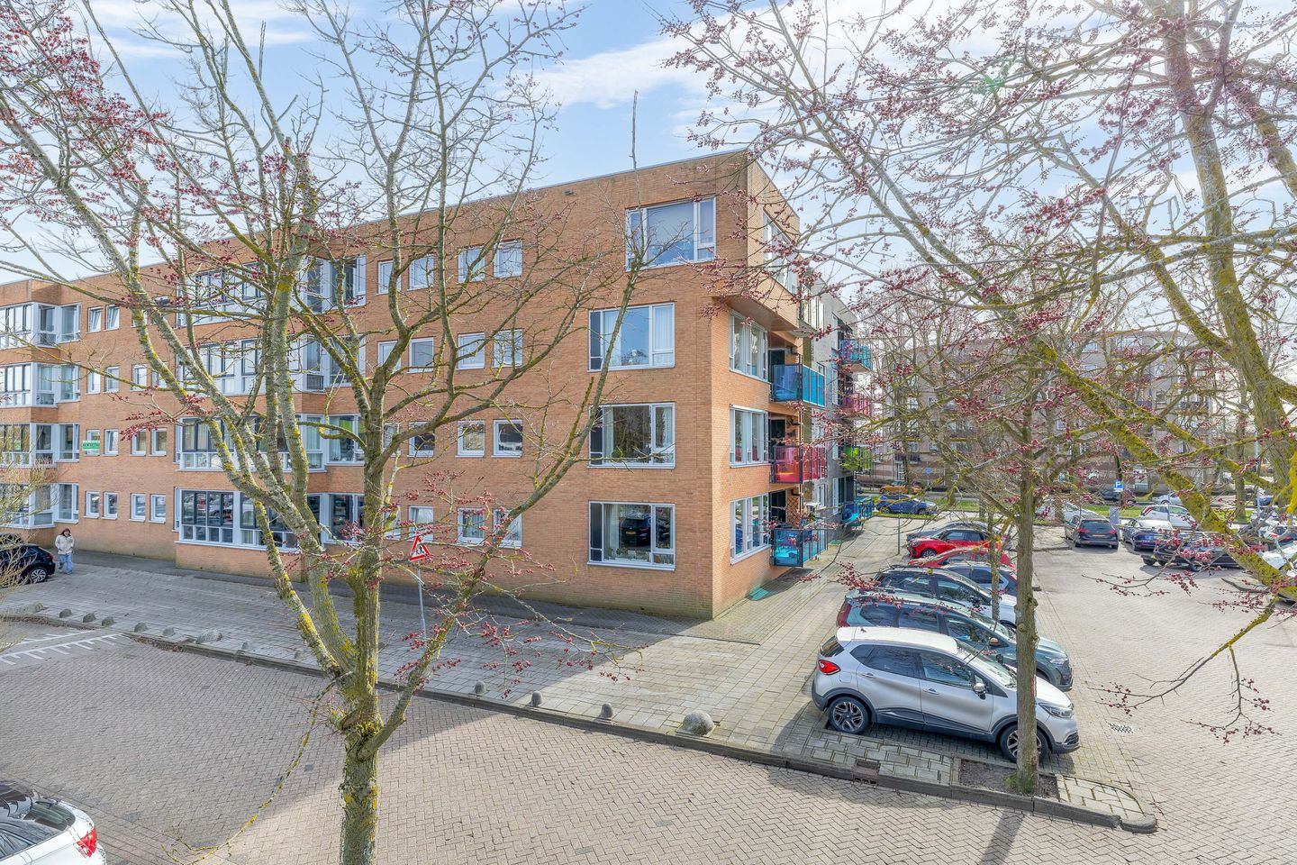 Foto 14 van Drooghe Bol 2038