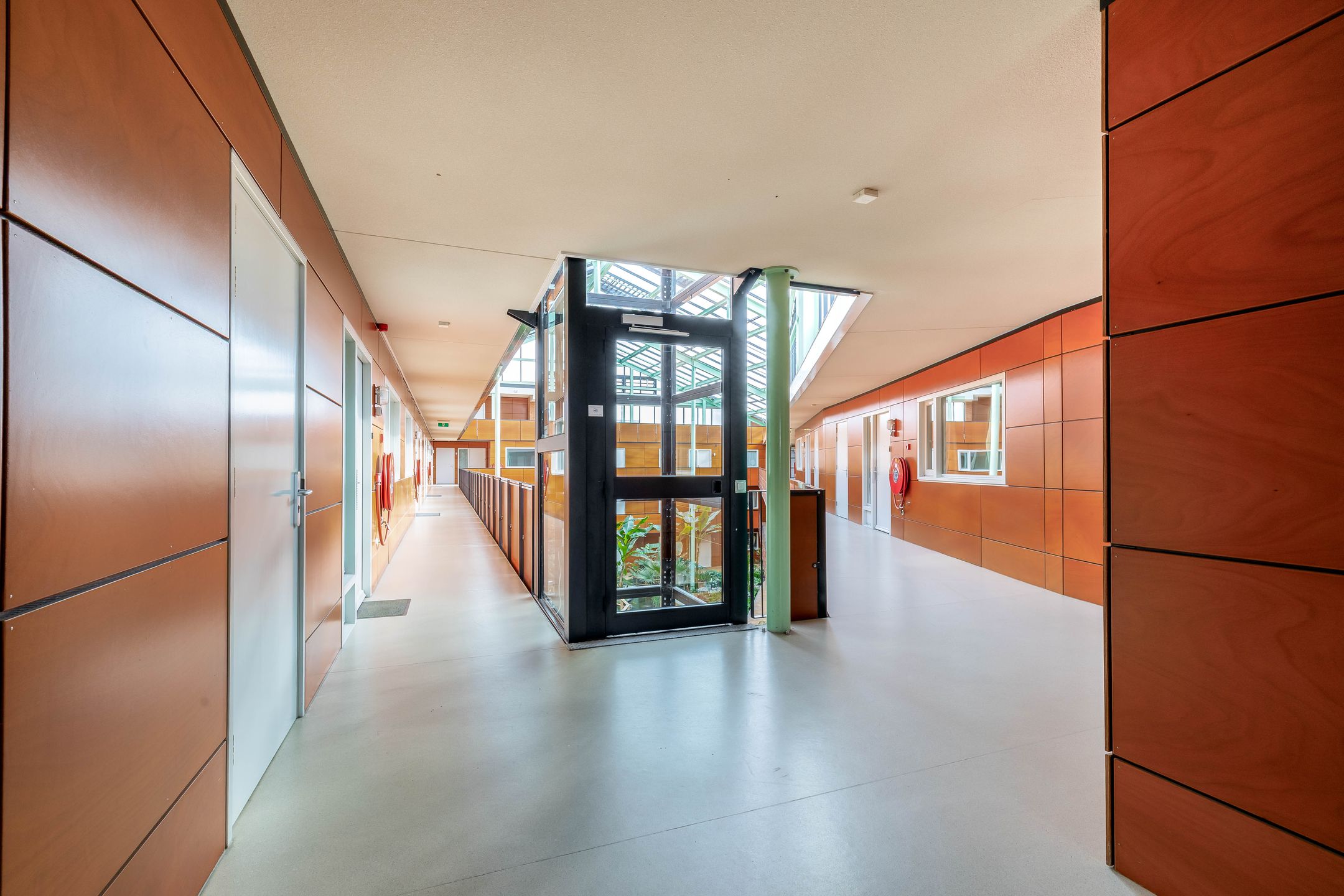 Foto 18 van Drooghe Bol 2038