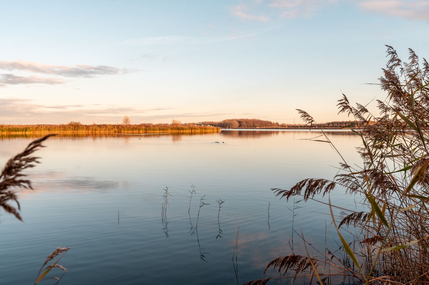 Foto 49 van Helmstok 33