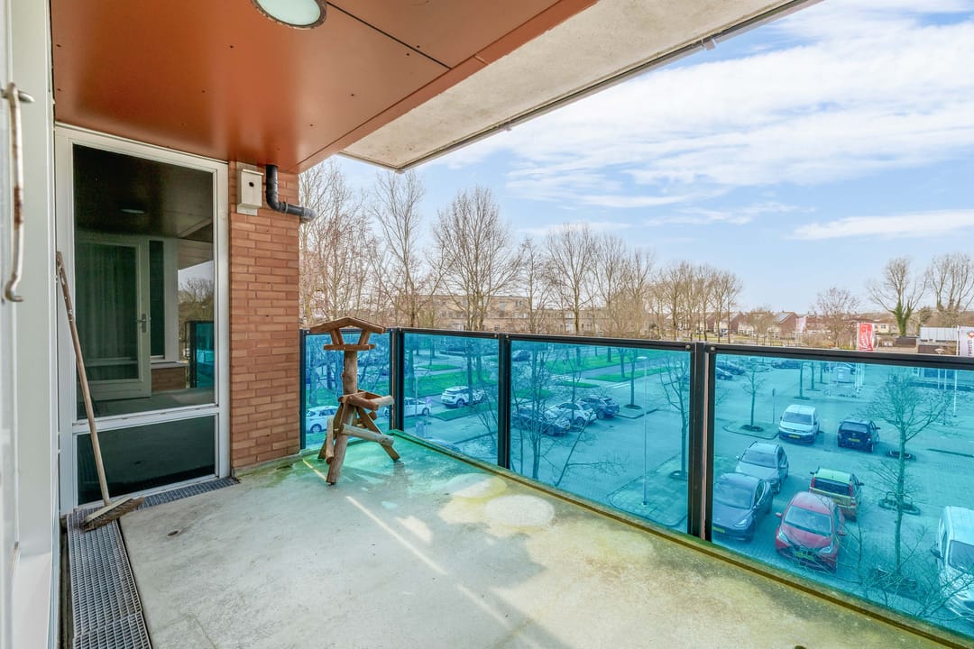 Foto 8 van Drooghe Bol 2038