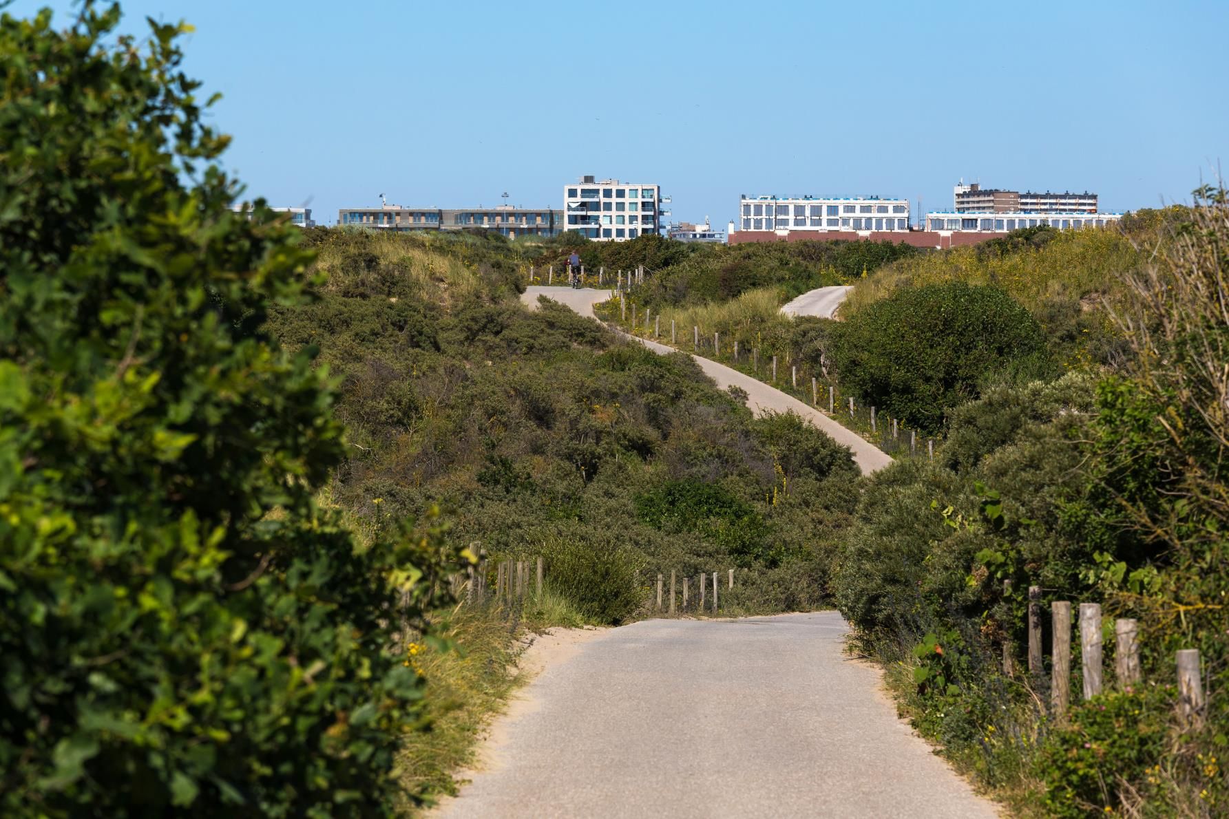 Foto 39 van Zwolsestraat 244