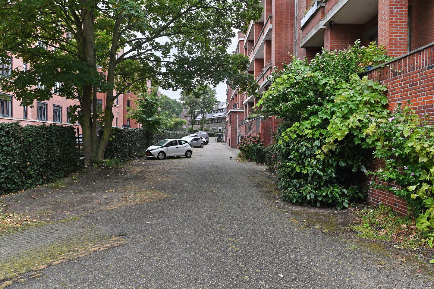 Stylish 3-Bedroom Apartment with Parking near Van Stolkpark — 40
