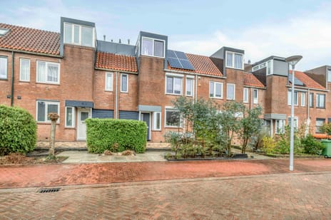 de Kuinder thumbnail