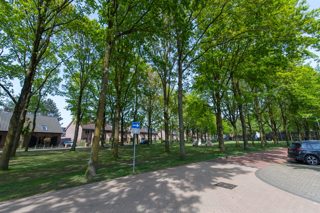 Foto 46 van Hoogschoor 80